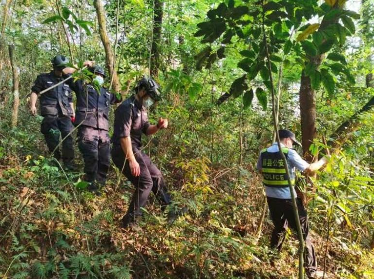 紧急救援！东航客机坠毁事故搜救进行时 