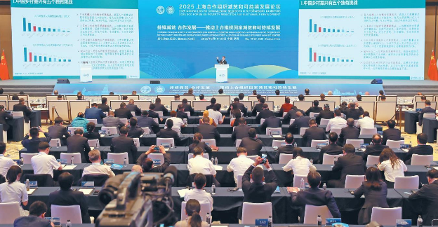 2025年上海合作组织减贫和可持续发展论坛西安分论坛举办 